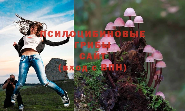 гашиш Белокуриха