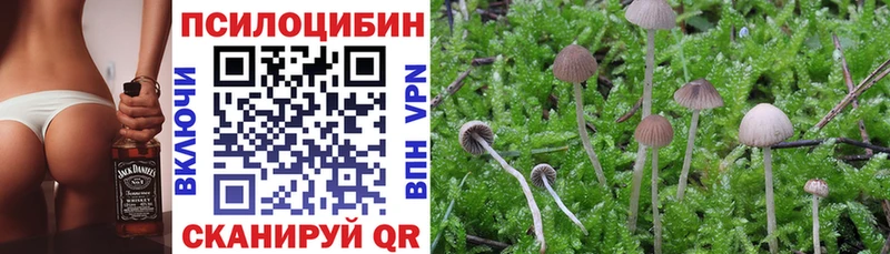 Псилоцибиновые грибы мухоморы  Козельск 